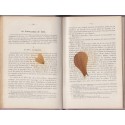 Morceaux choisis des auteurs français, lecture expliquée, récitation, Des Granges, 1933 - manuels de français