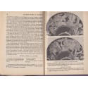 Les beaux textes de l'Antiquité, classe de 5e, Maurice Rat, 1954 - manuels de français