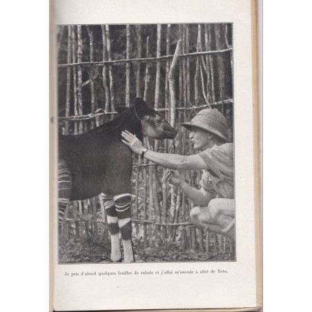 Msitu la forêt, Attilio Gatti