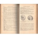 Géologie pratique et petit dictionnaire technique, De Launay, 1901 - sciences naturelles, géologie,