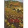 Connaître le Beaujolais, 1984, Chambre de Commerce et d'Industrie de Villefranche - vins,