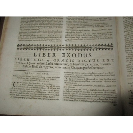 Daté de 1703, Commentarij ex optimis quibusque, Joan Stephani Monochij - gravure Terre Sainte, théologie, latin, rare, XVIIIe s.