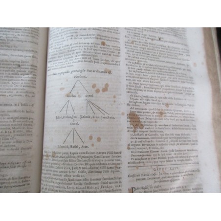 Daté de 1703, Commentarij ex optimis quibusque, Joan Stephani Monochij - gravure Terre Sainte, théologie, latin, rare, XVIIIe s.