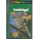 Landvögel, Frieder Sauer - guide des oiseaux de campagne, oiseaux, ornithologie