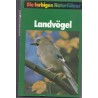 Landvögel, Frieder Sauer - guide des oiseaux de campagne, oiseaux, ornithologie