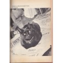 Le guide des chats, Fernand Méry - animaux domestiques