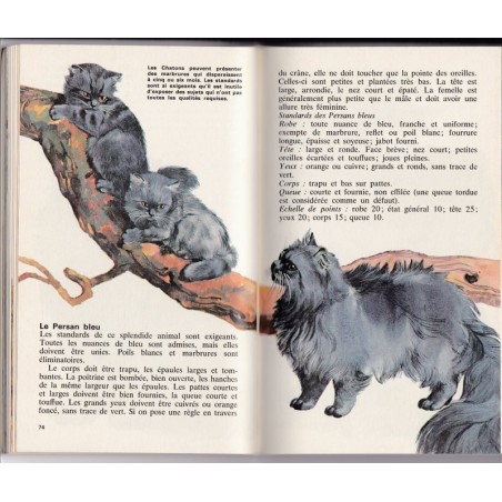 Les chats, Poche couleurs Larousse - guide des chats, animaux domestiques