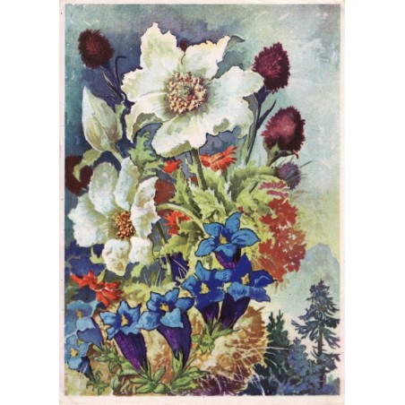 Carte postale fleurs des Alpes, timbre Deutsches Reich 6, Hitler, 1943, Oberchenheim - fleurs, Allemagne, philatélie