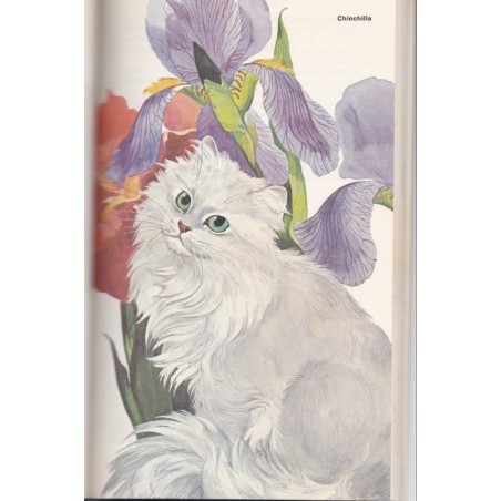 Les chats, Poche couleurs Larousse - guide des chats, animaux domestiques