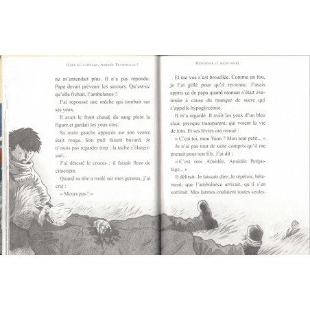 Gare au carnage, Amédée Petitpotage ! Jean-Louis Craipeau, 1995 - policier jeunesse