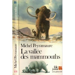 La vallée des mammouths, Michel Peyramaure, 1980 - Préhistoire, fantasy, aventures jeunesse, Folio junior