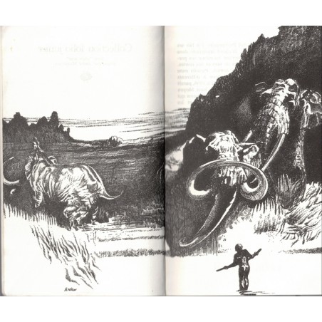 La vallée des mammouths, Michel Peyramaure, 1980 - Préhistoire, aventures jeunesse, Folio junior