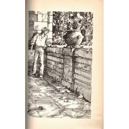 Le mystère de Peacock Place, Mary Francis Craig, 1990 - policier jeunesse, aventure verte