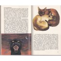 Les chats, Poche couleurs Larousse - guide des chats, animaux domestiques