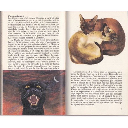 Les chats, Poche couleurs Larousse - guide des chats, animaux domestiques