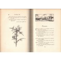 The voyageur and other poems, William Henry Drummond, 1905 - écrivains canadiens, poésie, Canadian folk, english litteratur