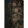 Journal Mon Bonheur 2e année, romans populaires - aventures jeunesse, magazine populaire de la famille