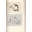 Katzen, Frederico Hinderman - Tiere, chats, dessins de chats, animaux domestiques