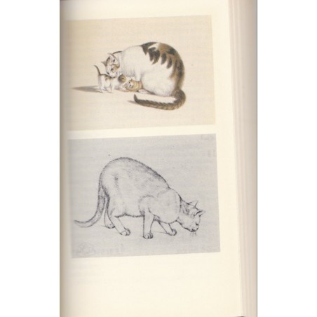 Katzen, Frederico Hinderman - Tiere, chats, dessins de chats, animaux domestiques