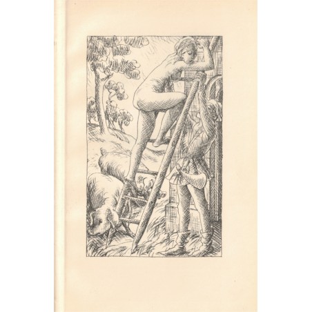 Das Dekameron, Giovanni Di Boccaccio,1925 - Boccace, Décaméron, Littérature Moyen Age, fables, gravures Erich Gruner, érotisme