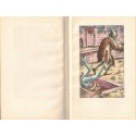 Das Dekameron, Giovanni Di Boccaccio,1925 - Boccace, Décaméron, Littérature Moyen Age, fables, gravures Erich Gruner, érotisme