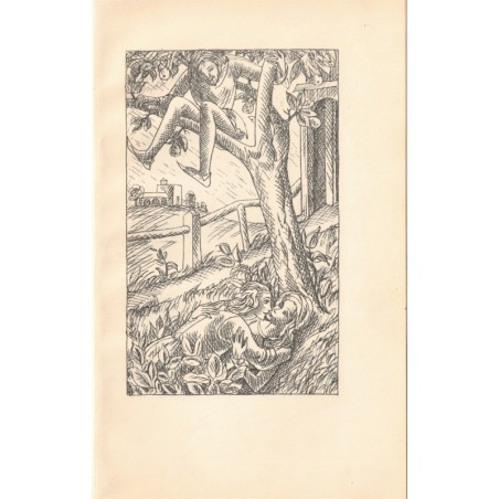 Das Dekameron, Giovanni Di Boccaccio,1925 - Boccace, Décaméron, Littérature Moyen Age, fables, gravures Erich Gruner, érotisme