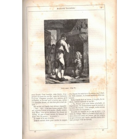 Romans nationaux d'Erckmann-Chatrian, 1685, Hetzel - romans XIXe s., Napoléon, romans populaires, illustrateurs Riou