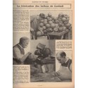 Sciences et Voyages année 1924 volume relié - revues scientifiques, ethnologie, industrie, tourisme,