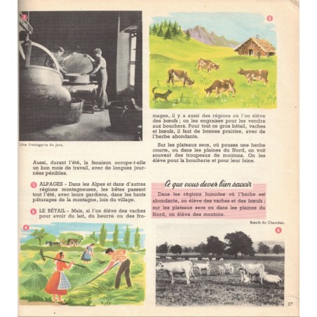 Découvrons le monde, Géographie cours élémentaire, Chabot 1955 - manuels de géographie, livres d'image, France de 1955