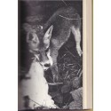 L'animal, témoin de domination et de mort, T2 Histoires d'animaux, Yves David-Marescot - animaux sauvages,