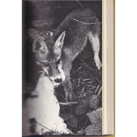 L'animal, témoin de domination et de mort, T2 Histoires d'animaux, Yves David-Marescot - animaux sauvages,