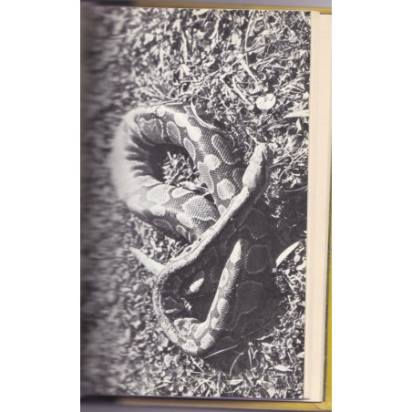 L'animal, témoin de domination et de mort, T2 Histoires d'animaux, Yves David-Marescot - animaux sauvages,