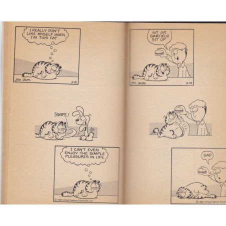 Garfield why do you hate mondays ? - Jim Davis, 1983 -,  cats, chats, bandes dessinées, dessins chats, humour,