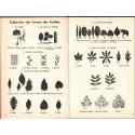 Quel est donc cet arbre ? Kosch, 1956 - botanique, nature