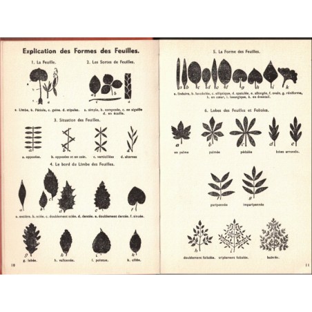 Quel est donc cet arbre ? Kosch, 1956 - botanique, nature