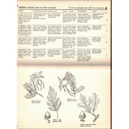 Quel est donc cet arbre ? Kosch, 1956 - botanique, nature