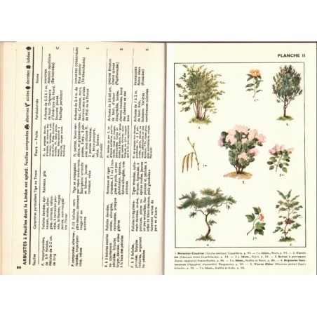 Quel est donc cet arbre ? Kosch, 1956 - botanique, nature