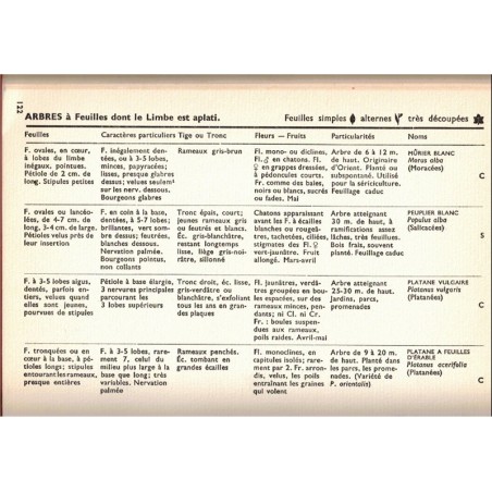 Quel est donc cet arbre ? Kosch, 1956 - botanique, nature