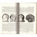 Causeries scientifiques 1863, progrès de la science et de l'industrie, Henri de Parville - inventions 19e siècle, revues