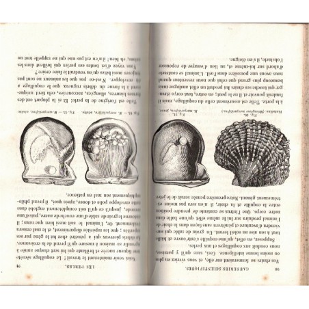Causeries scientifiques 1863, progrès de la science et de l'industrie, Henri de Parville - inventions 19e siècle, revues