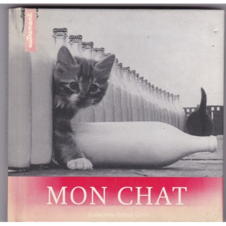 Mon chat, belles photographies et citations - félins, photographies de chats