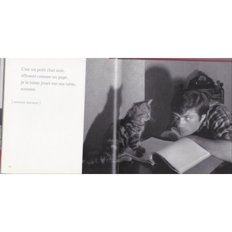 Mon chat, belles photographies et citations - félins, photographies de chats