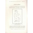 Bios n°2 1927, revue des sciences naturelles, Monatsschrift für Angewandte Naturwissenschaftern - alsatiques, nature, Natur