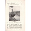 Bios n°4 1927, revue des sciences naturelles, Monatsschrift für Angewandte Naturwissenschaftern - alsatiques, animaux, Natur