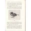 Bios n°1 1927, revue des sciences naturelles, Monatsschrift für Angewandte Naturwissenschaftern - alsatiques, Natur