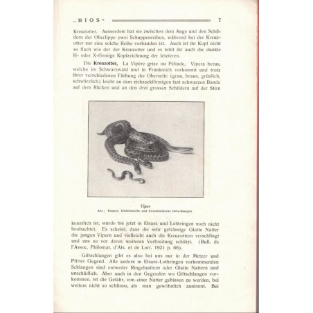 Bios n°1 1927, revue des sciences naturelles, Monatsschrift für Angewandte Naturwissenschaftern - alsatiques, Natur