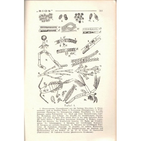 Bios n°8 1927, revue des sciences naturelles, Monatsschrift für Angewandte Naturwissenschaftern - alsatiques, Natur