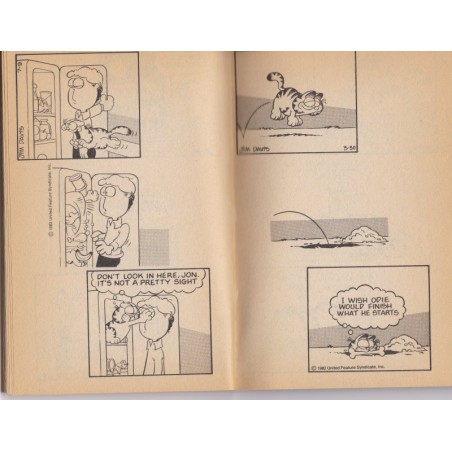 Garfield, admit it, odie's o.k. ! Jim Davis, 1983 - cats, chats, bandes dessinées, dessins chats, humour,