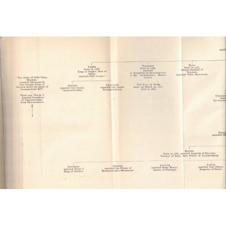 The true visage of Napoléon, Edouard Driault, 1920 - Premier Empire, biographies, english books