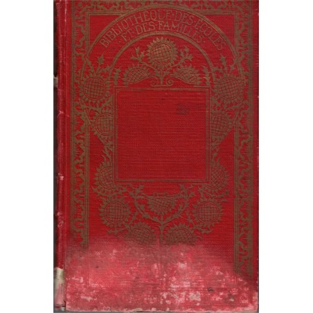 Journal d'un sous-officier 1870, Amédée Delorme, 1915 - militaire, guerre franco-prussienne 1870